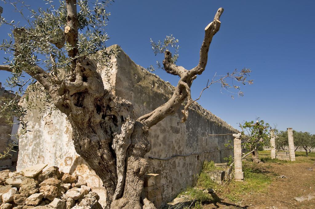 Masseria Spina Resort Monopoli Rom bilde
